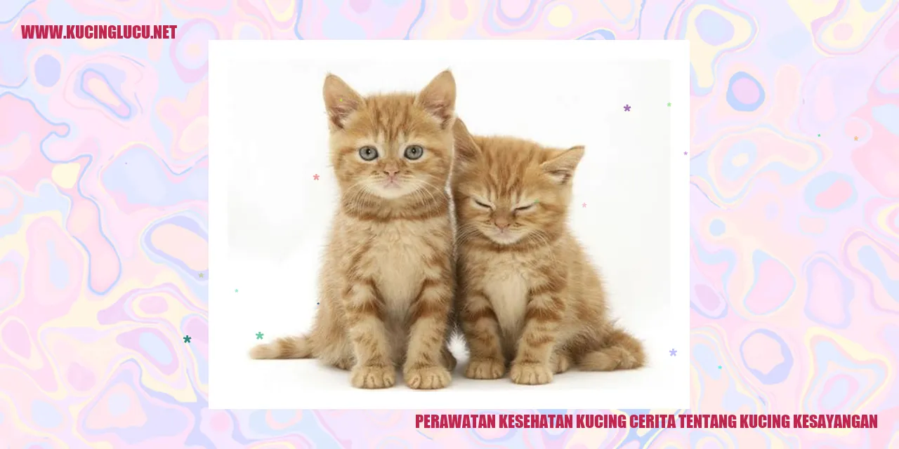 Perawatan Kesehatan Kucing Kesayangan
