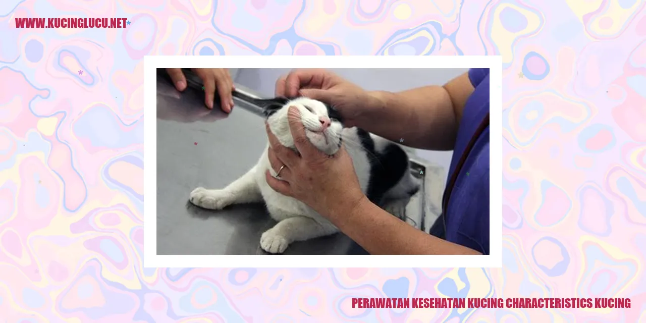Perawatan Kesehatan Kucing
