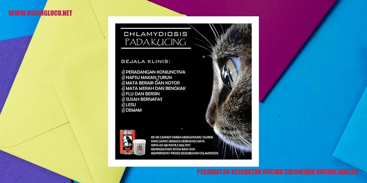 Perawatan Kesehatan Kucing Chlamydia