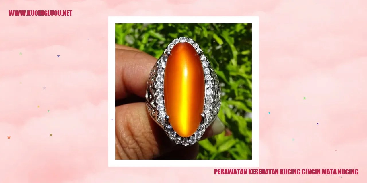 Kucing Cincin Mata Kucing