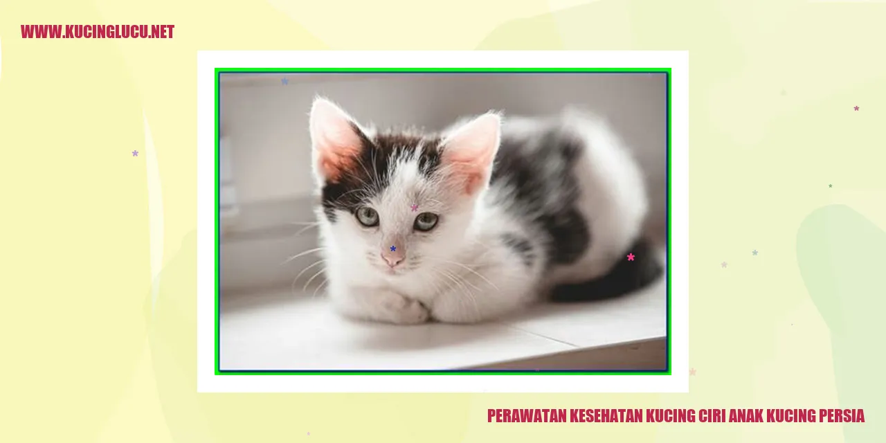 Kucing Persia