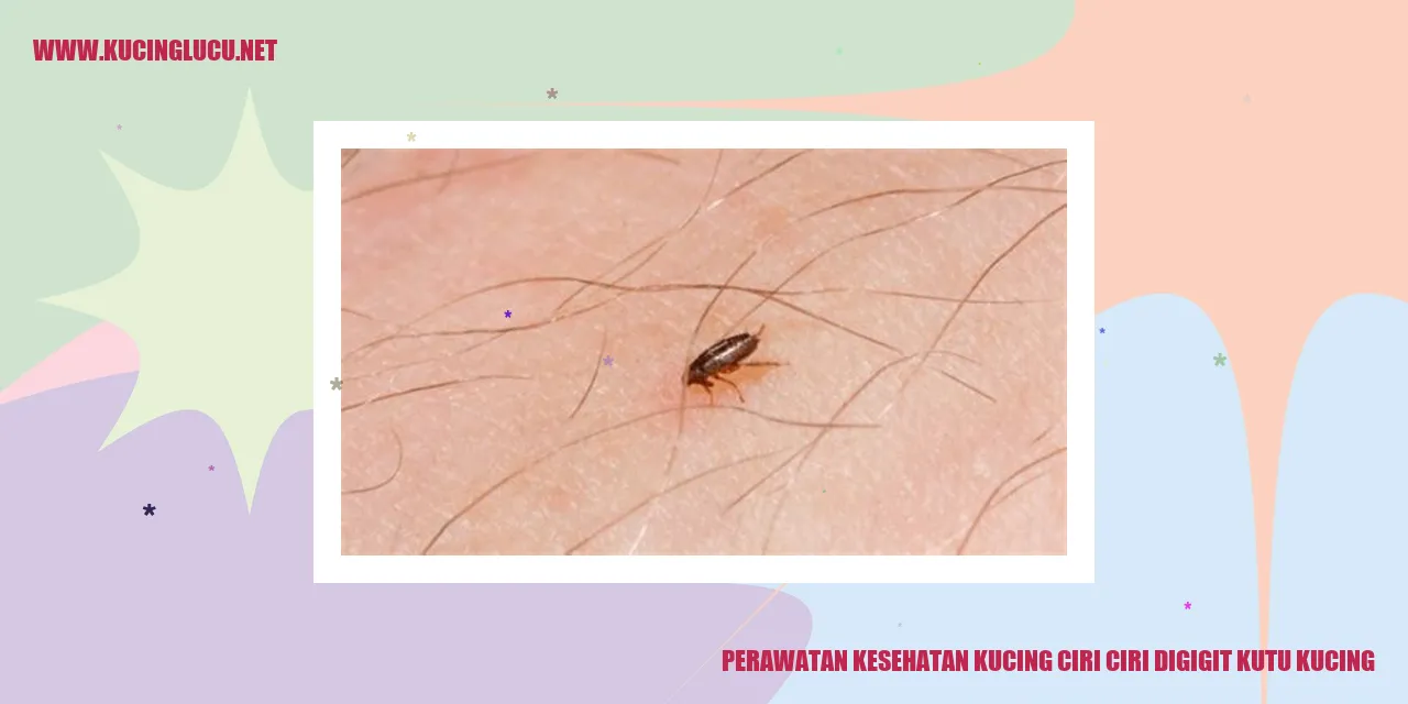 gambar kucing terkena gigitan kutu
