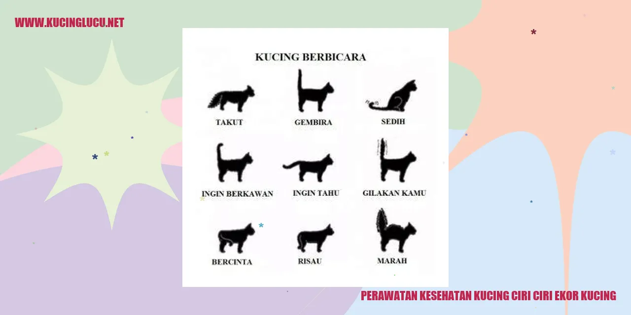 Gambar Kucing