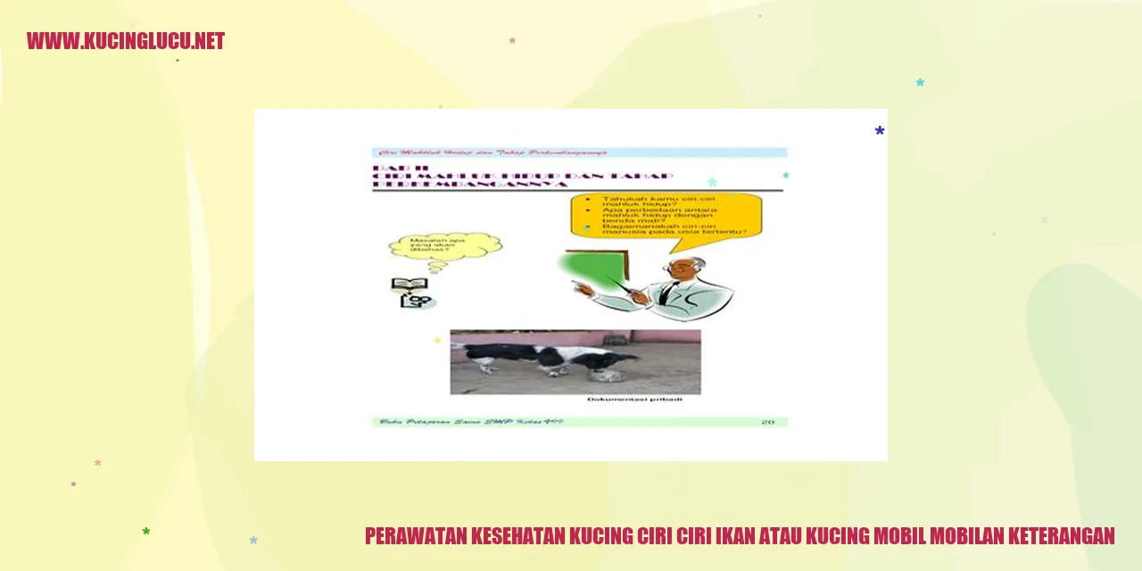 Perawatan Kesehatan Kucing
