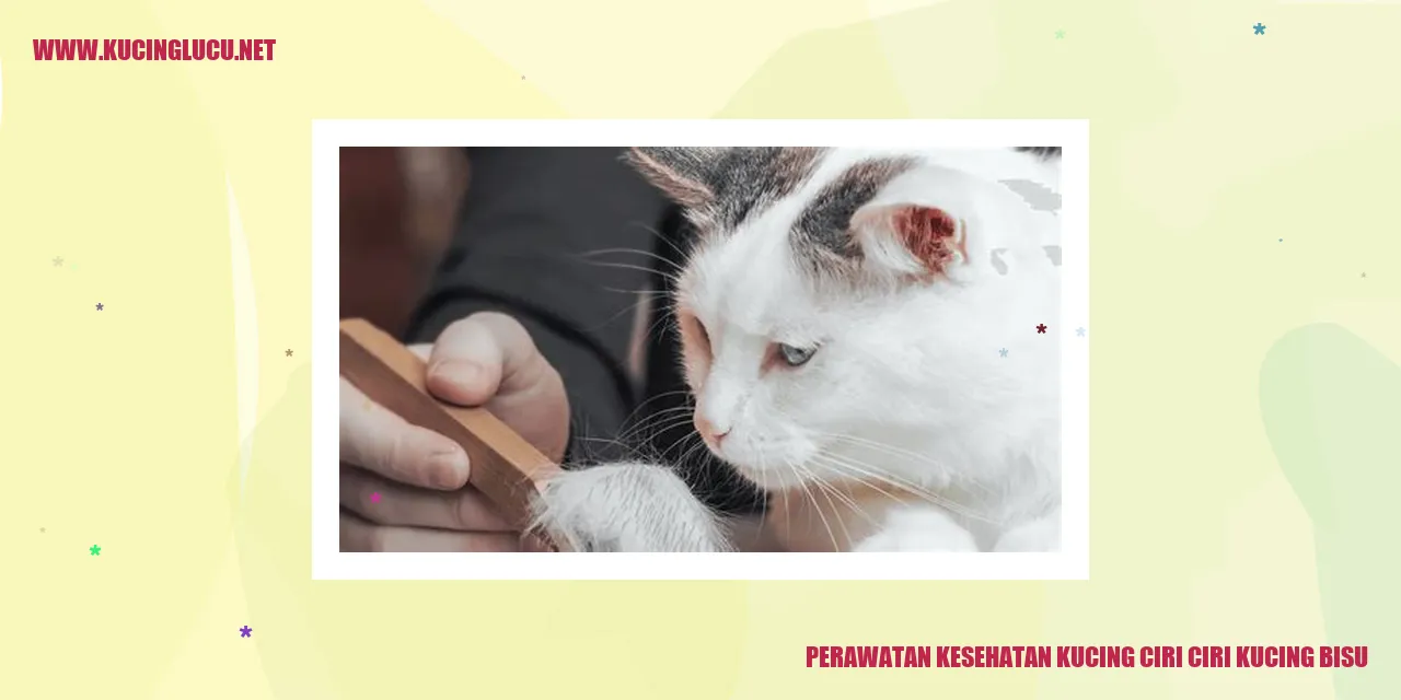 Gambar kucing bisu
