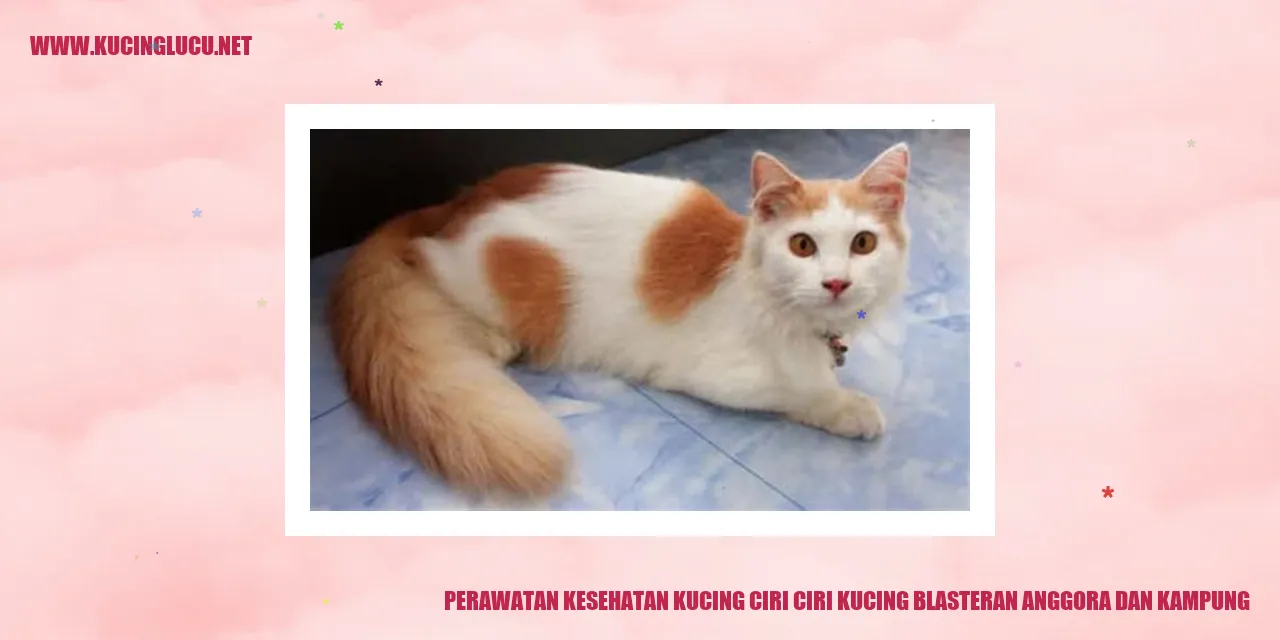 Perawatan Kesehatan Kucing