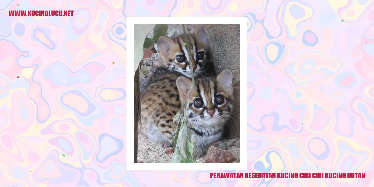 Perawatan Kesehatan Kucing ciri ciri kucing hutan