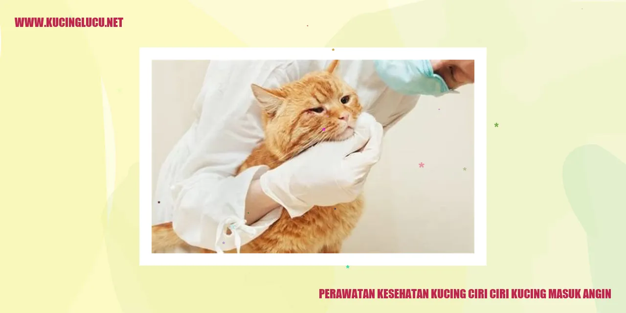 Gambar Kucing yang Sehat