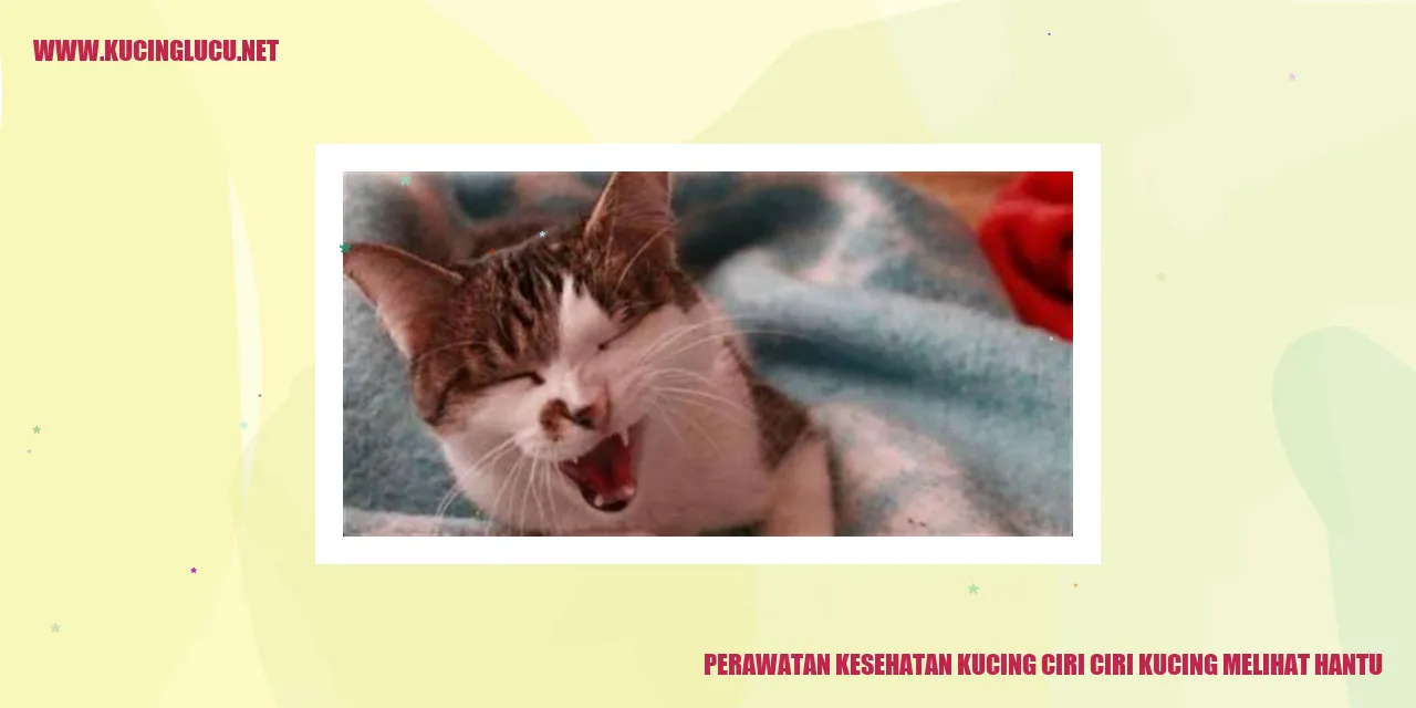 Perawatan Kesehatan Kucing ciri ciri kucing melihat hantu