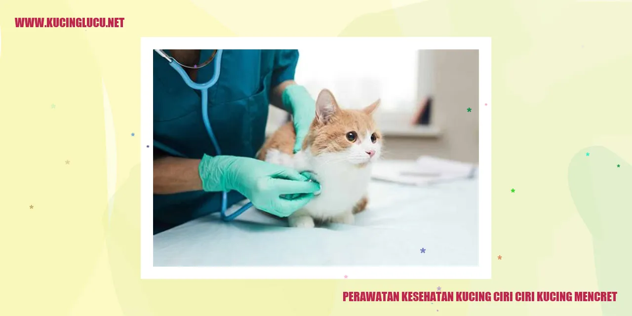 Kucing Mencret
