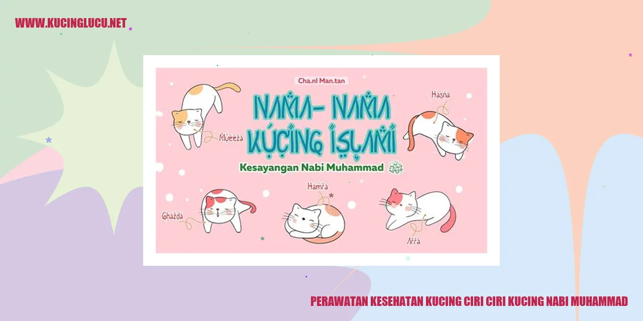 Gambar Kucing
