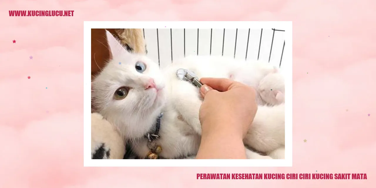 gambar kucing sakit mata