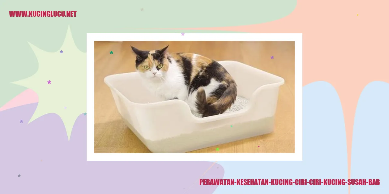 Ilustrasi kucing sehat