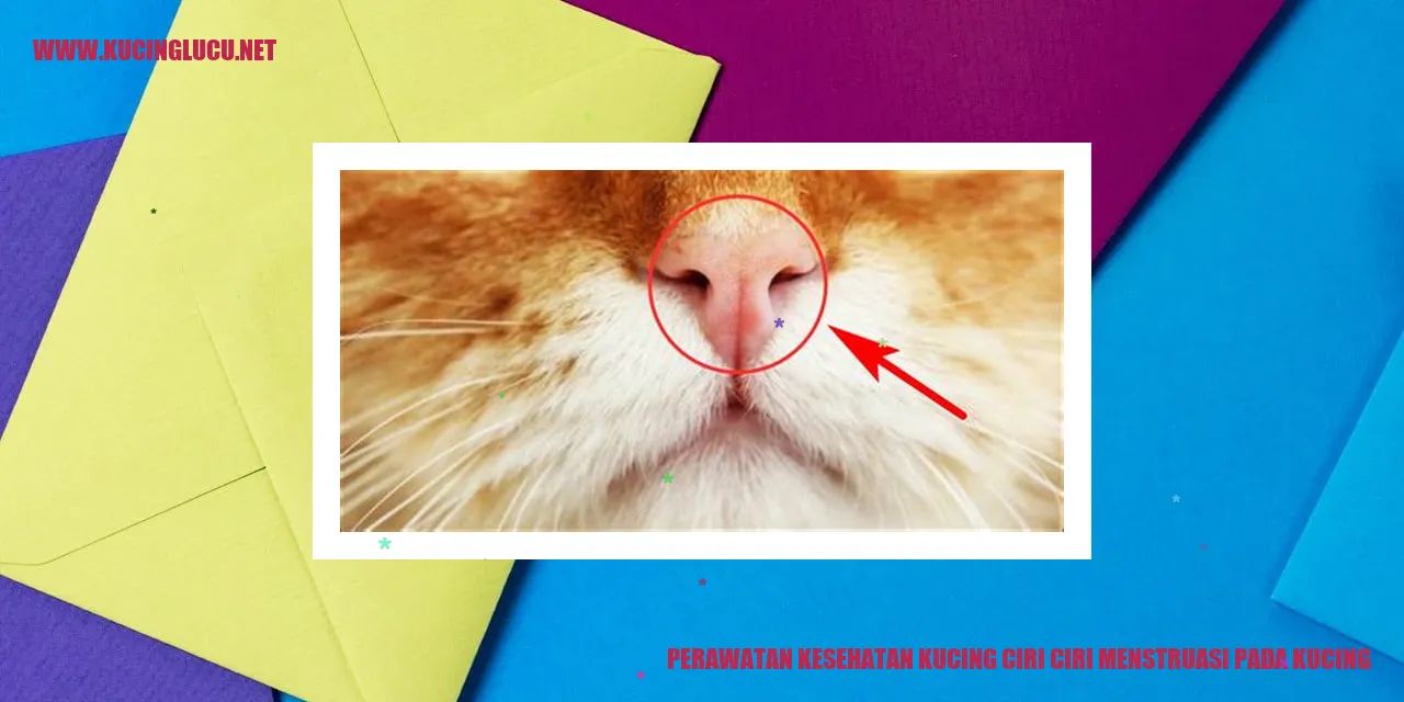 Perawatan Kucing ciri ciri menstruasi pada kucing