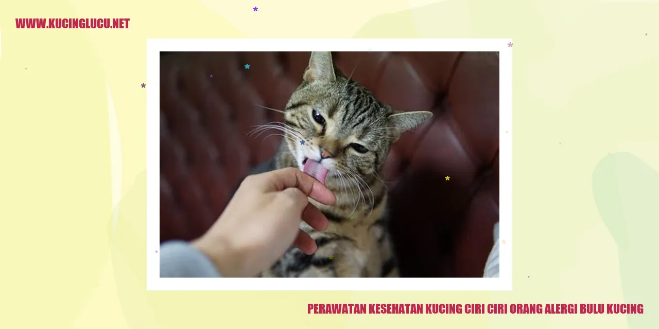 Perawatan Kesehatan Kucing ciri ciri orang alergi bulu kucing