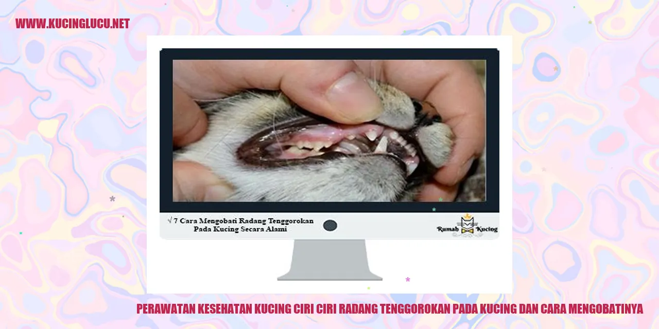Perawatan Kesehatan Kucing
