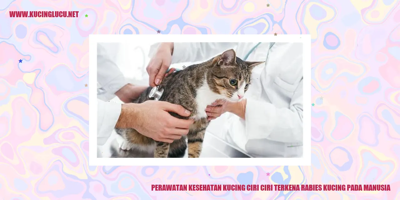 Perawatan Kesehatan Kucing ciri ciri terkena rabies kucing pada manusia