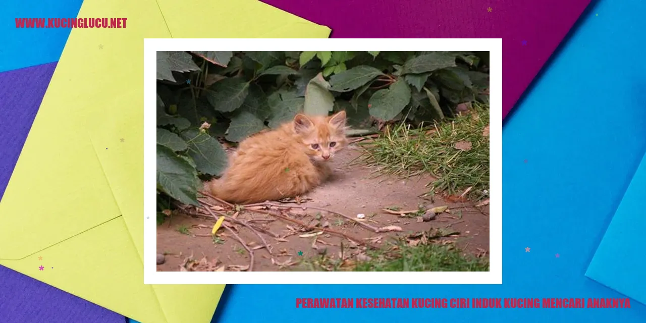Perawatan Kesehatan Kucing