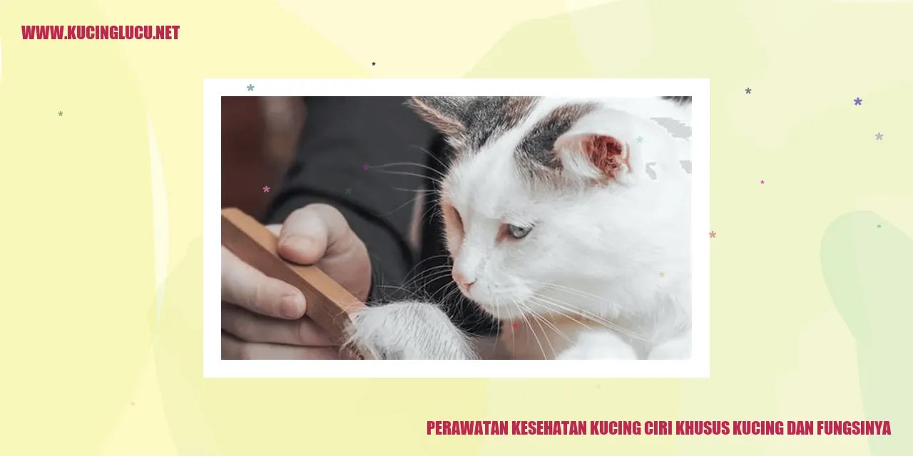 Perawatan Kesehatan Kucing