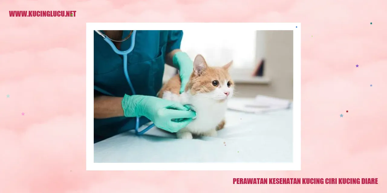 Perawatan Kesehatan Kucing - Ciri Kucing Diare