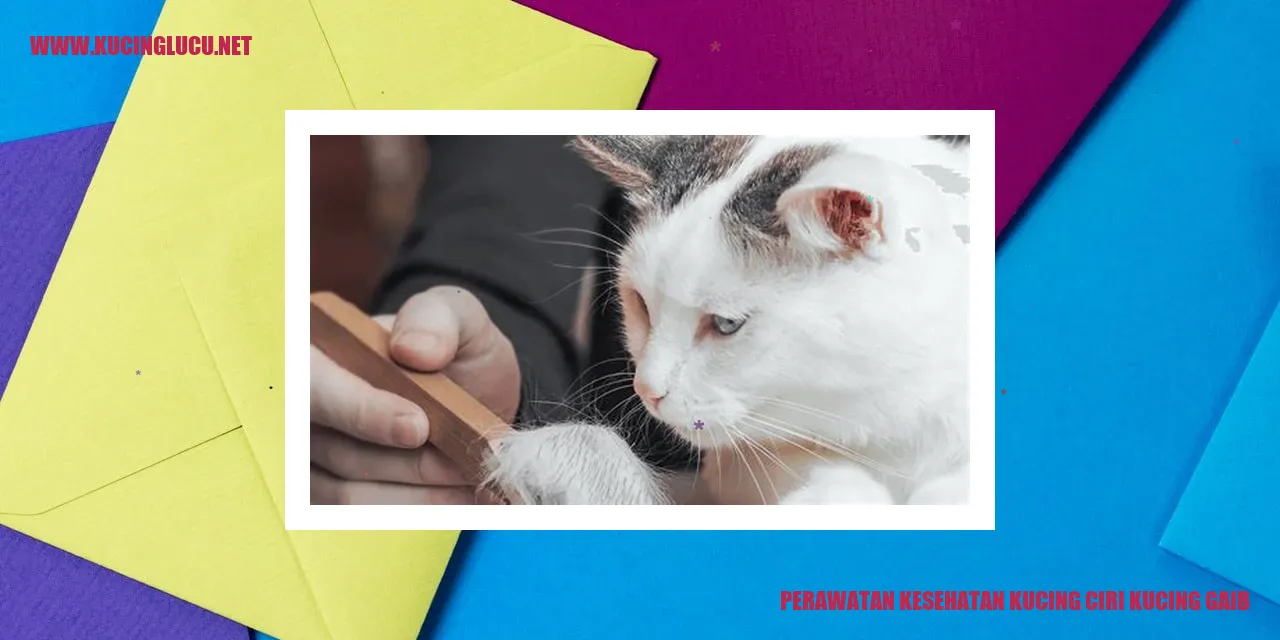 Perawatan Kesehatan Kucing Gaib
