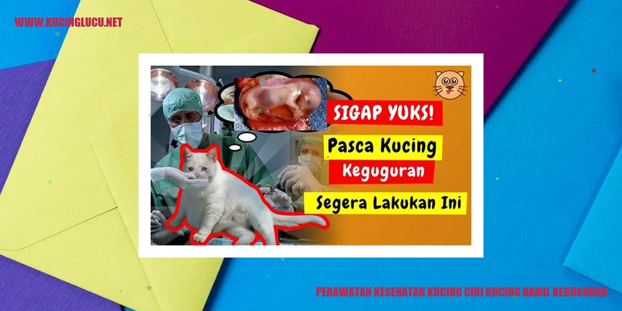 Perawatan Kesehatan Kucing ciri kucing hamil keguguran