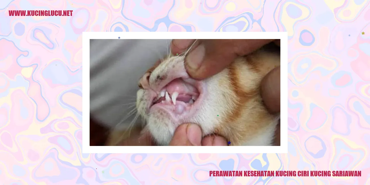 Perawatan Kesehatan Kucing ciri kucing sariawan