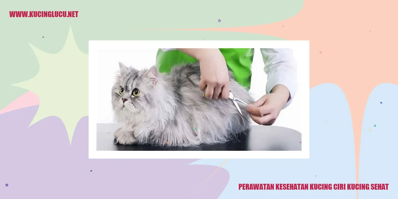 Perawatan Kesehatan Kucing ciri kucing sehat
