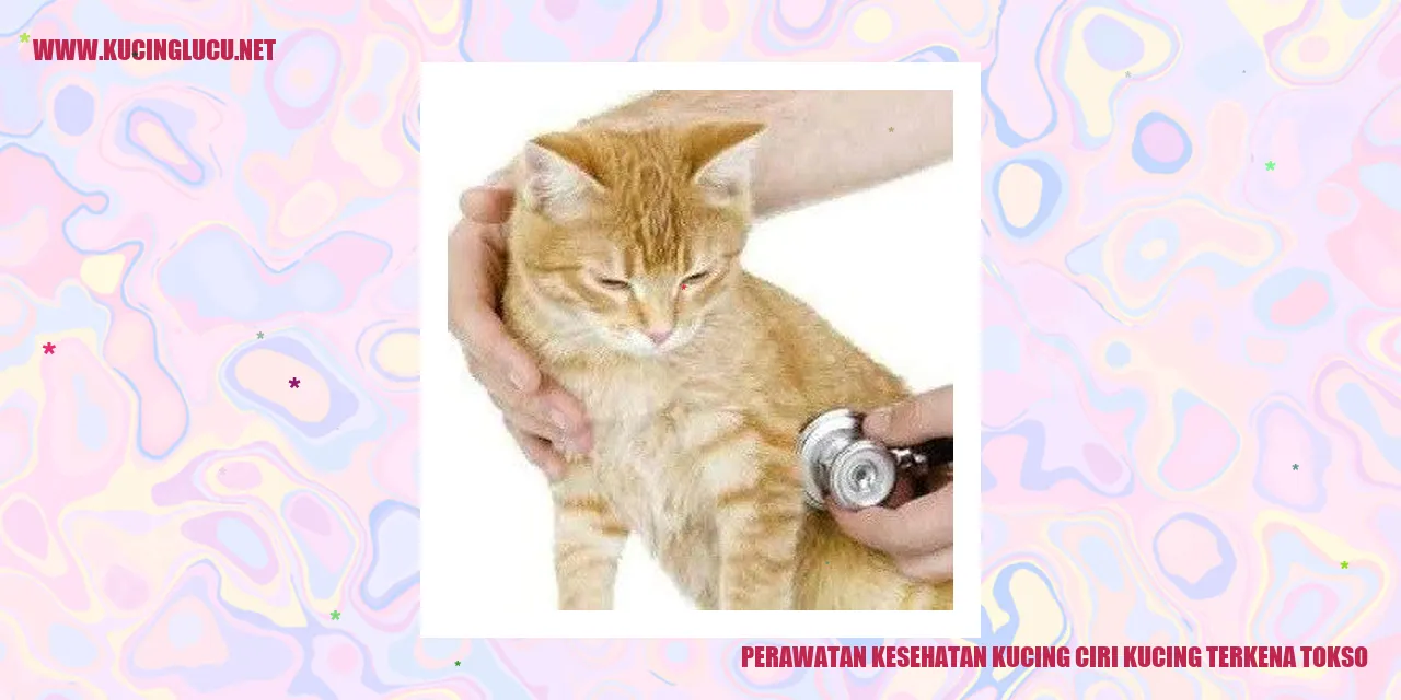 Perawatan Kesehatan Kucing - Ciri Kucing Terkena Tokso