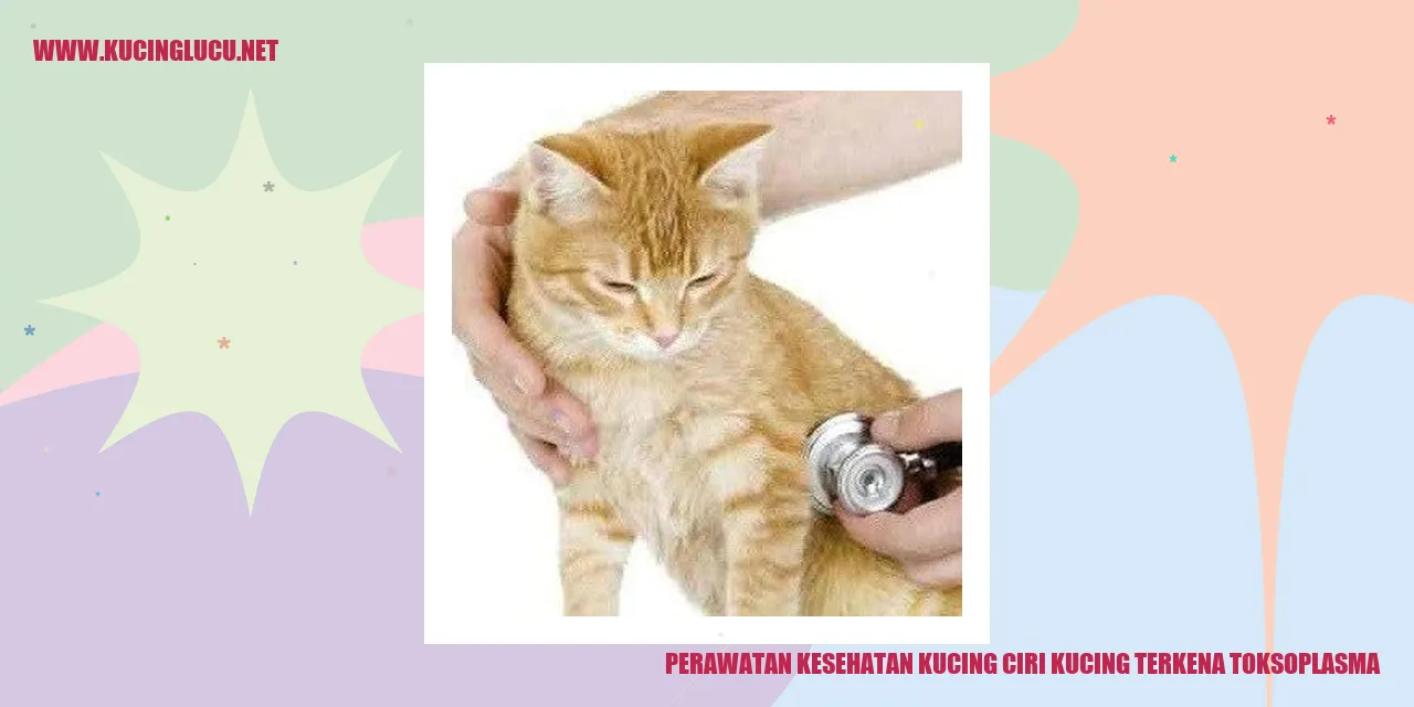 Perawatan Kesehatan Kucing