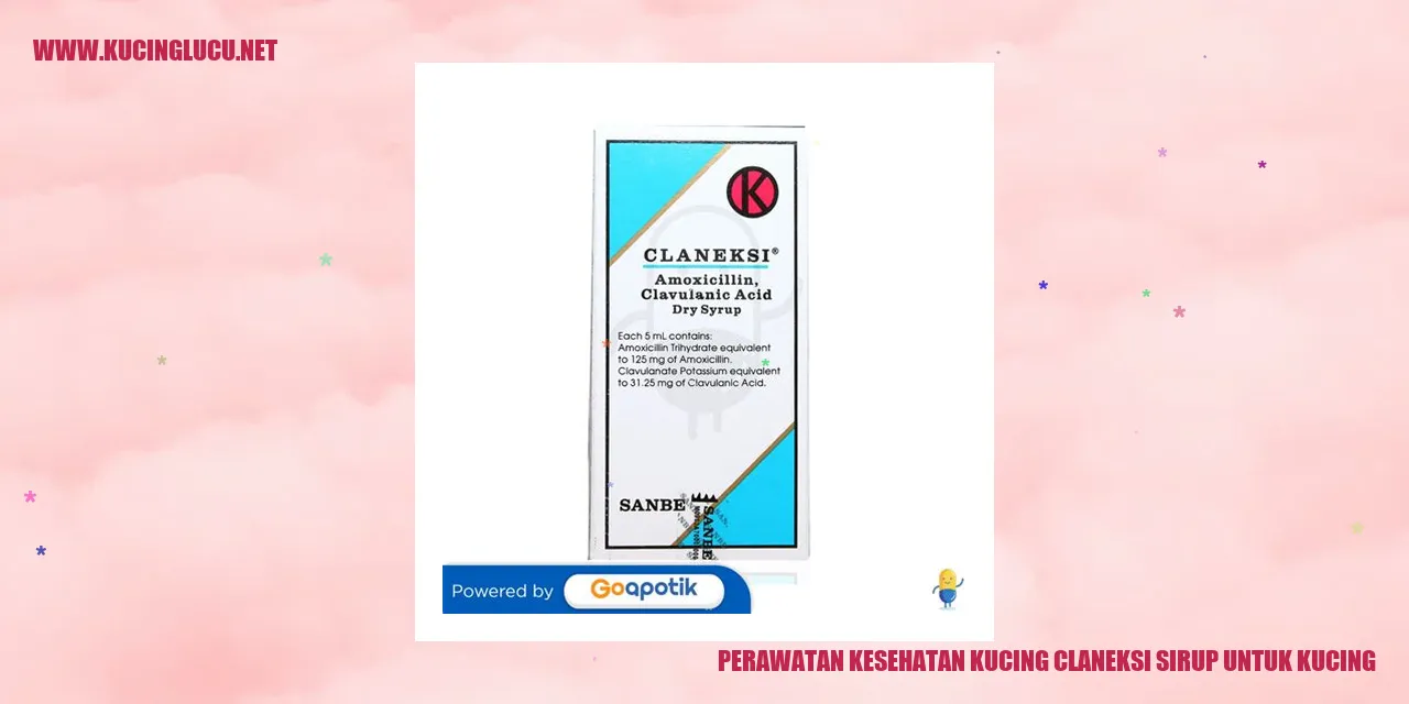 Kucing Sehat