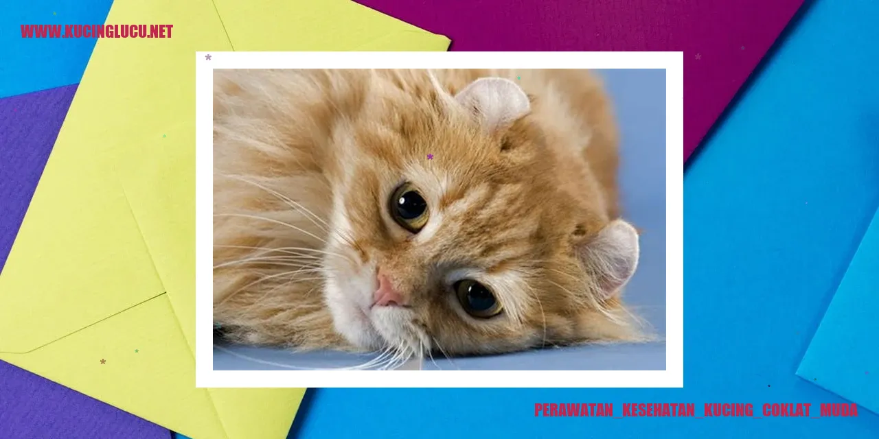 Perawatan_Kesehatan_Kucing_Coklat_Muda