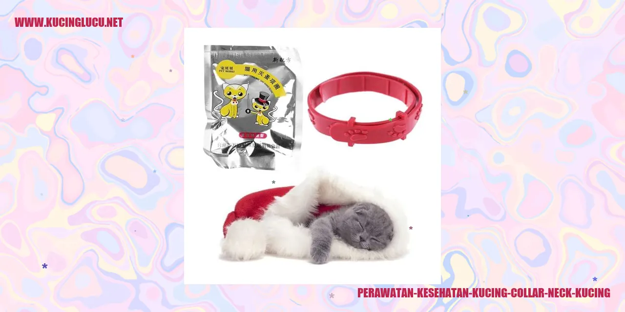 Collar Neck Kucing
