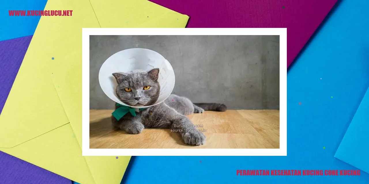 Perawatan Kesehatan Kucing Cone Kucing