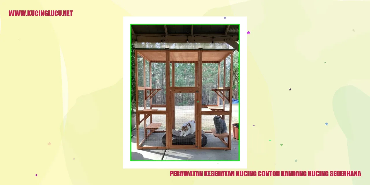 Contoh Kandang Kucing Sederhana