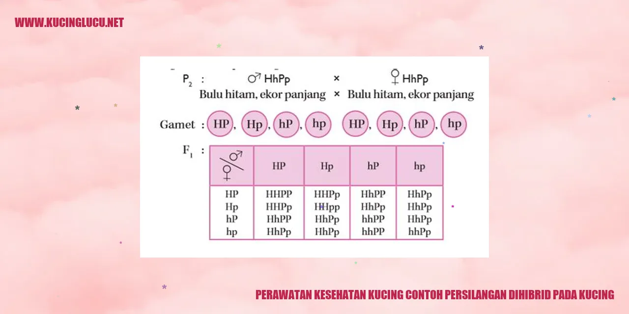 Kucing yang Sehat