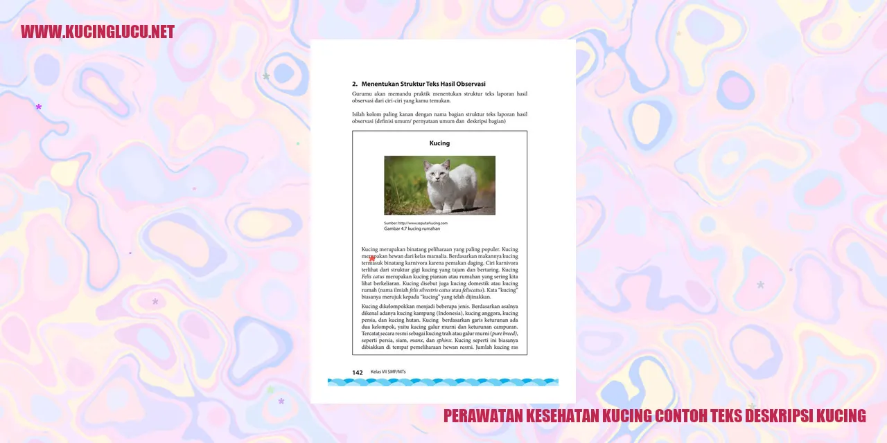 Perawatan Kesehatan Kucing