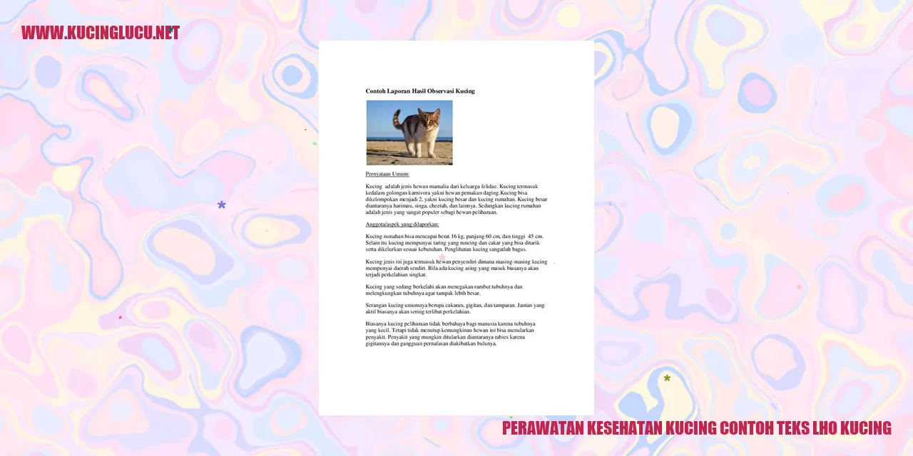 Perawatan Kesehatan Kucing
