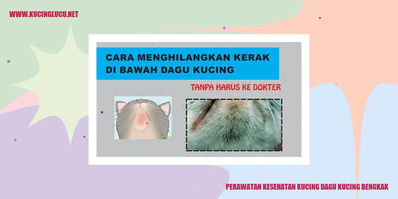 kucing bengkak