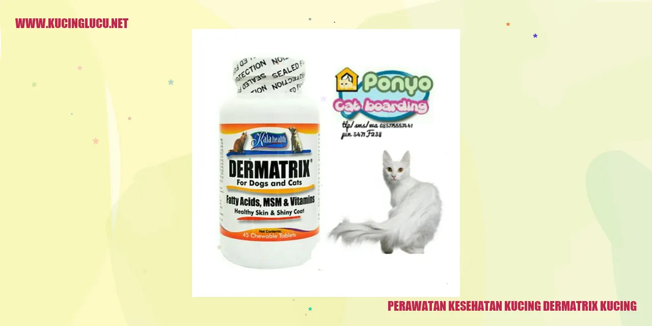 Gambar Kucing dengan Dermanitis Kucing