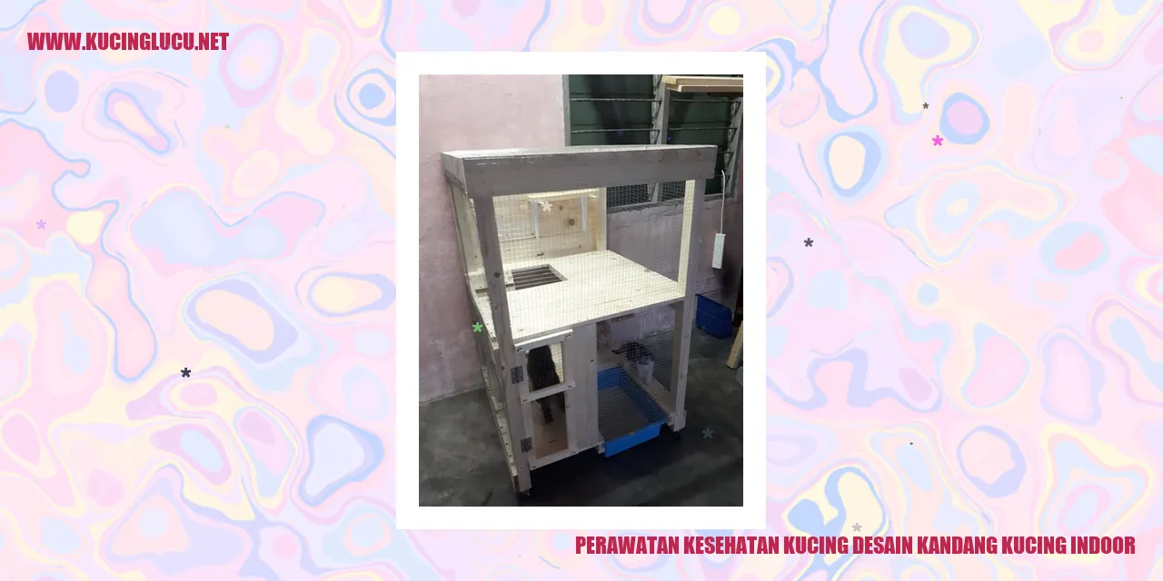 Gambar kucing indoor