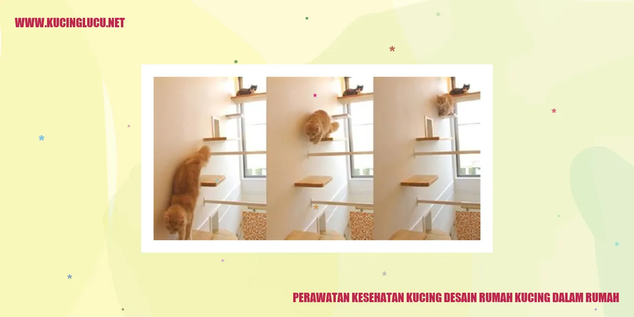 Perawatan Kesehatan Kucing desain rumah kucing dalam rumah