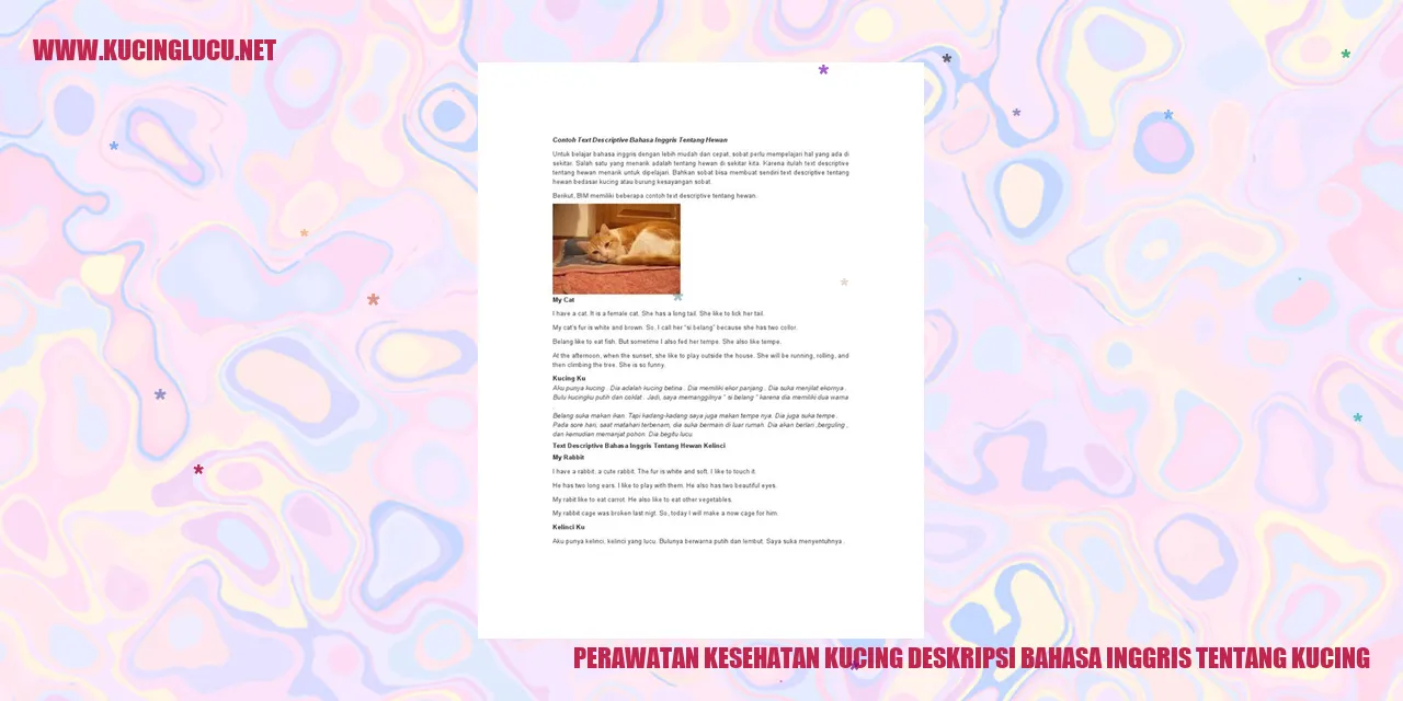 Perawatan Kesehatan Kucing