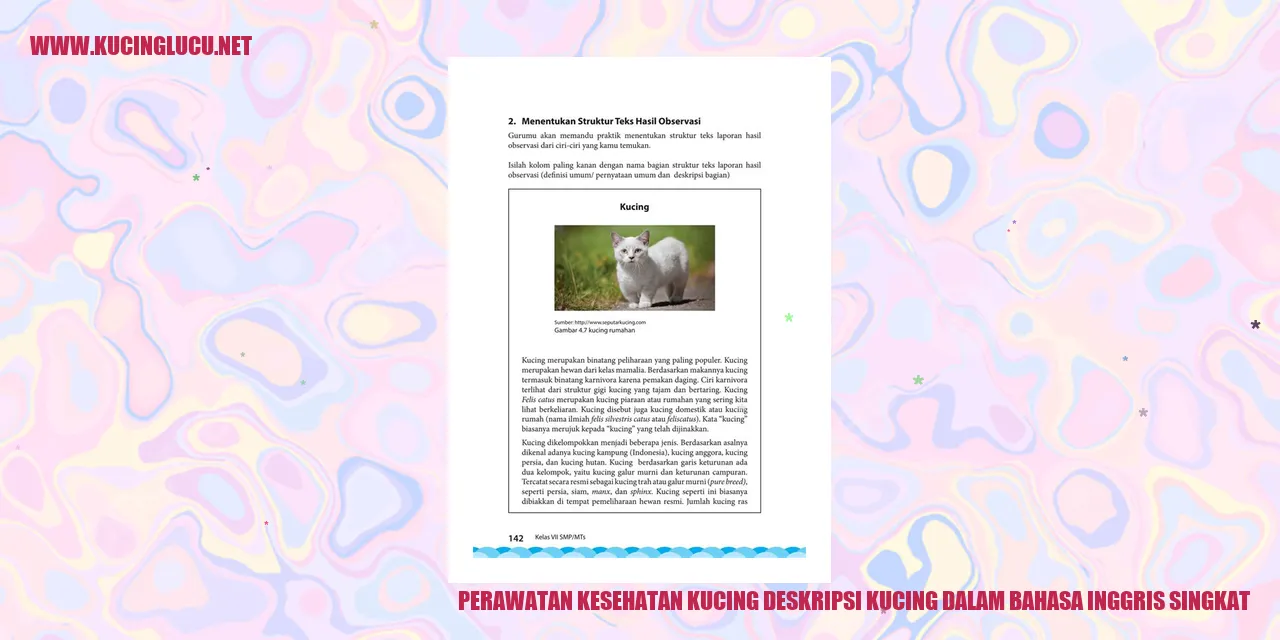 Gambar Kucing