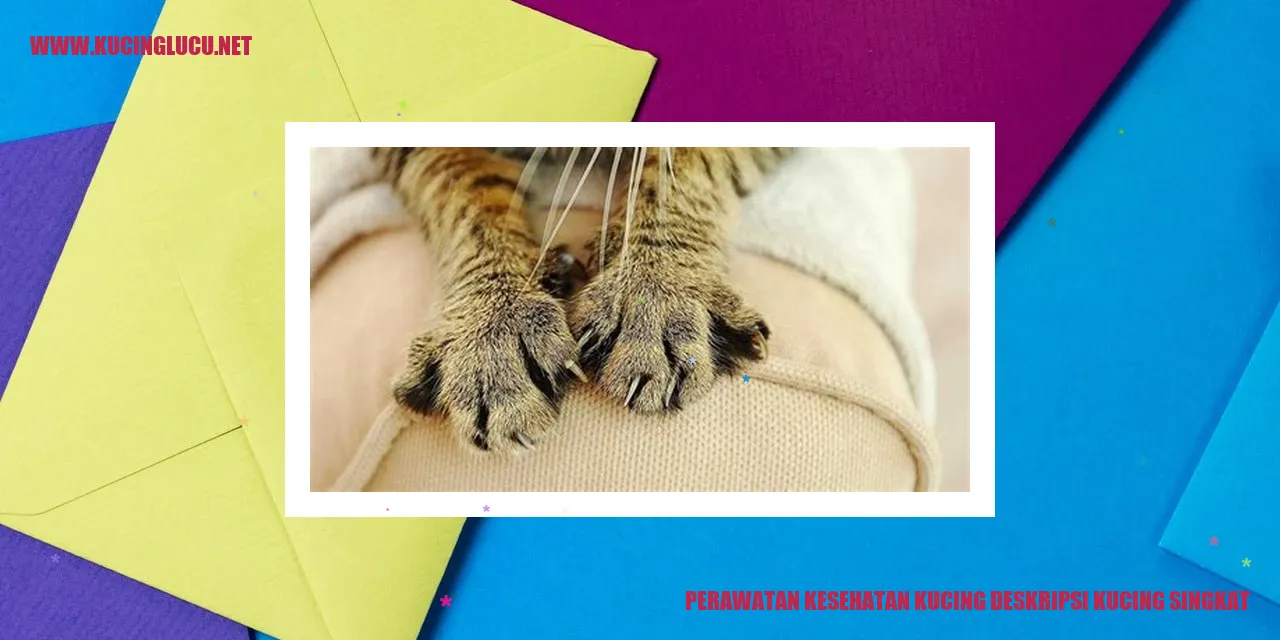 Perawatan Kesehatan Kucing