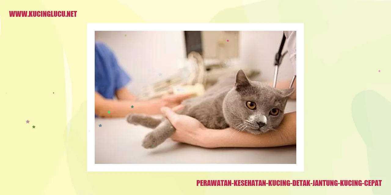 Perawatan Kesehatan Kucing