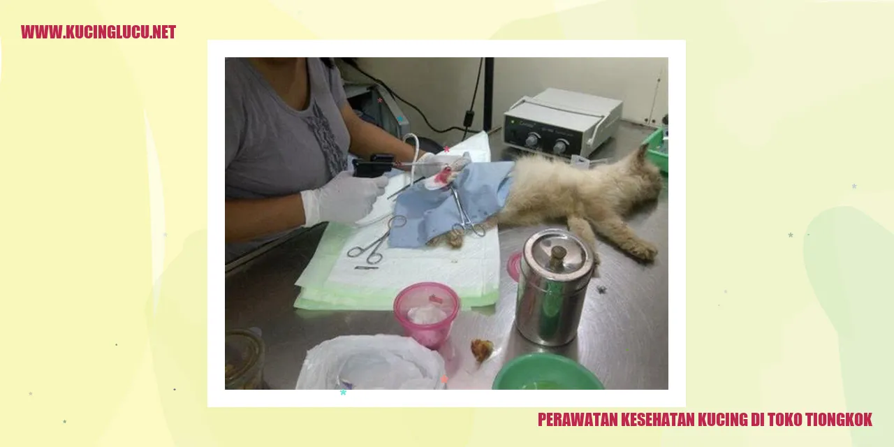 Perawatan Kesehatan Kucing di Toko Tiongkok