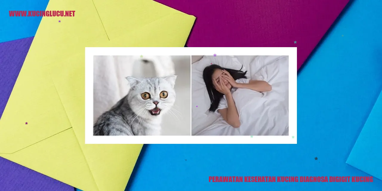 Perawatan Kesehatan Kucing diagnosa digigit kucing