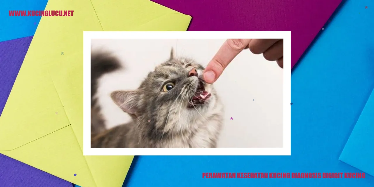 Perawatan Kesehatan Kucing
