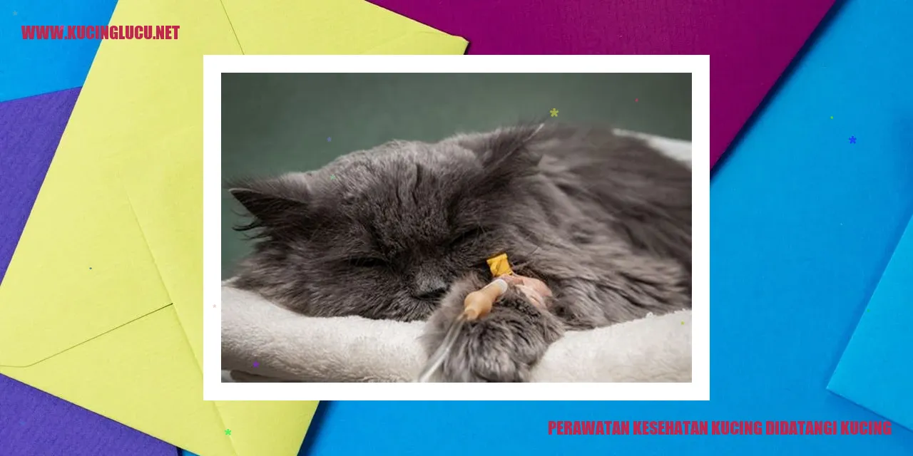 Kucing di dekat produk perawatan kucing